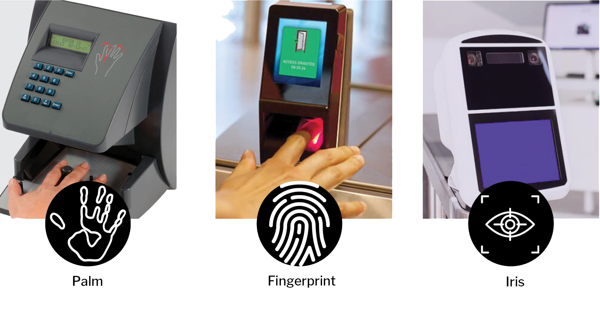 biometric reader types